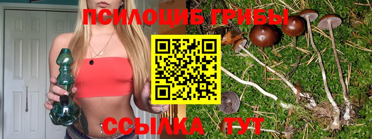 Абакан  где купить наркоту  Вход с VPN  Галлюциногенные грибы мухоморы  Галлюциногенные грибы Psilocybe 