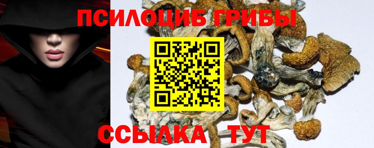 Галлюциногенные грибы мицелий Абакан